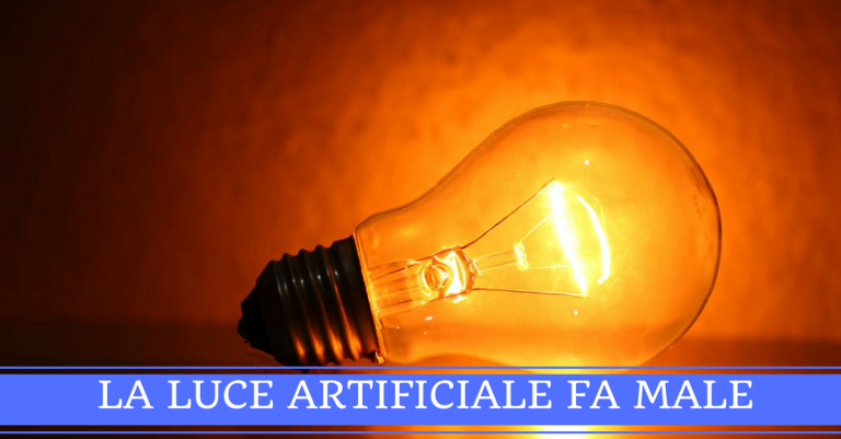 Esposizione alla luce artificiale, può essere dannosa